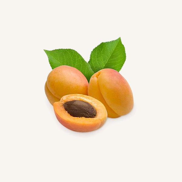 Thailand apricot